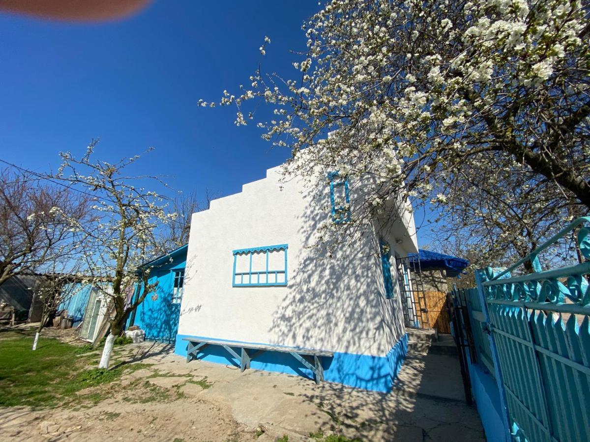 Casa Bunicilor Granny'S House Villa Jurilovca Bagian luar foto